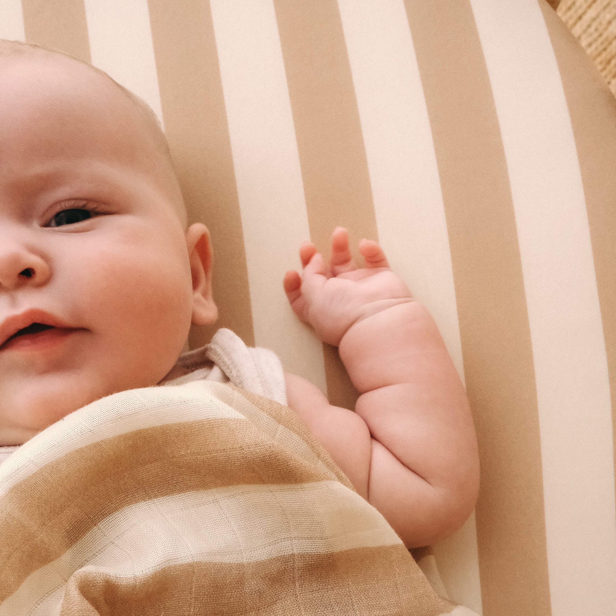 Bassinet | Fitted Sheet/Change Pad Cover | Organic - Coffee Stripe - Image 13