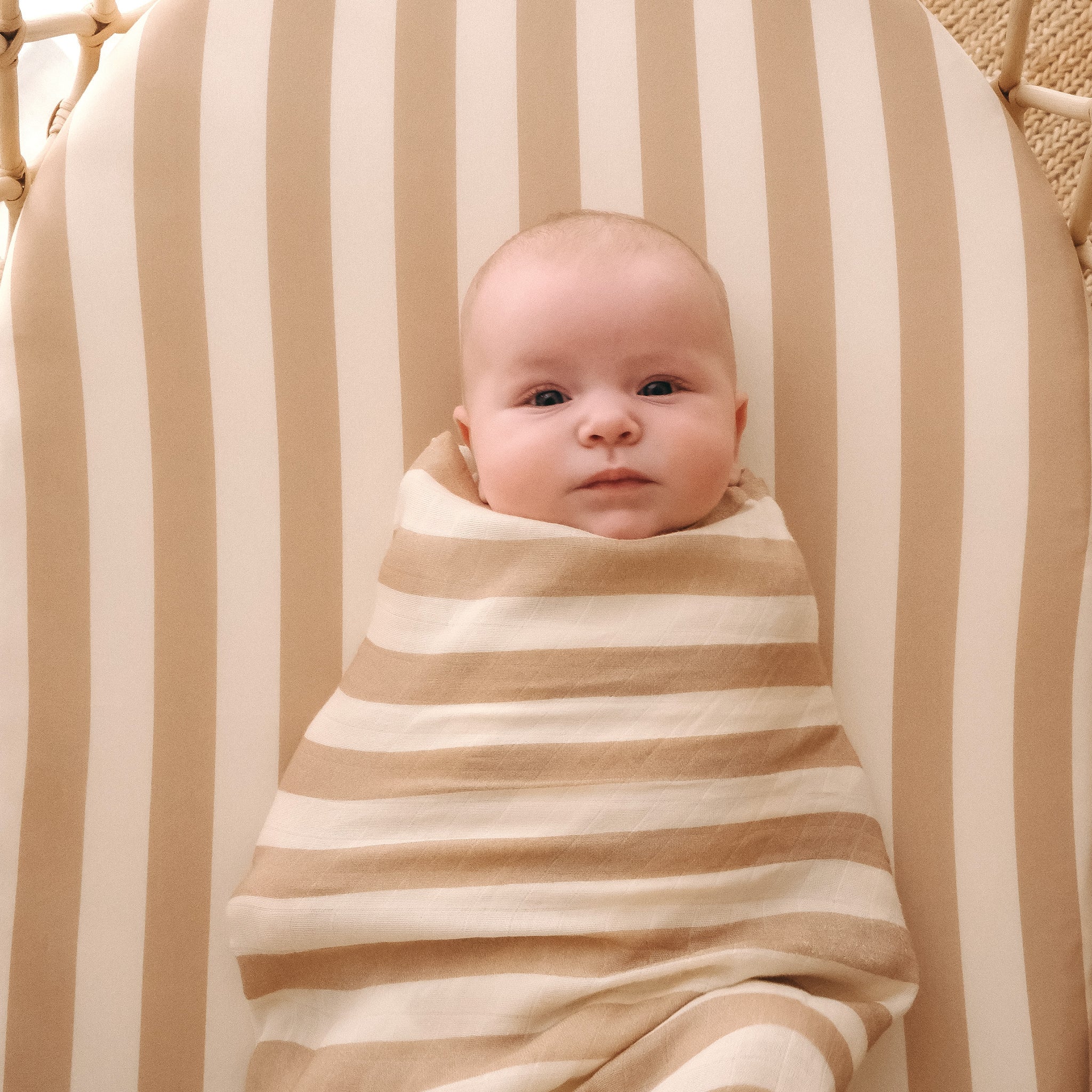 Bassinet | Fitted Sheet/Change Pad Cover | Organic - Coffee Stripe - Image 15