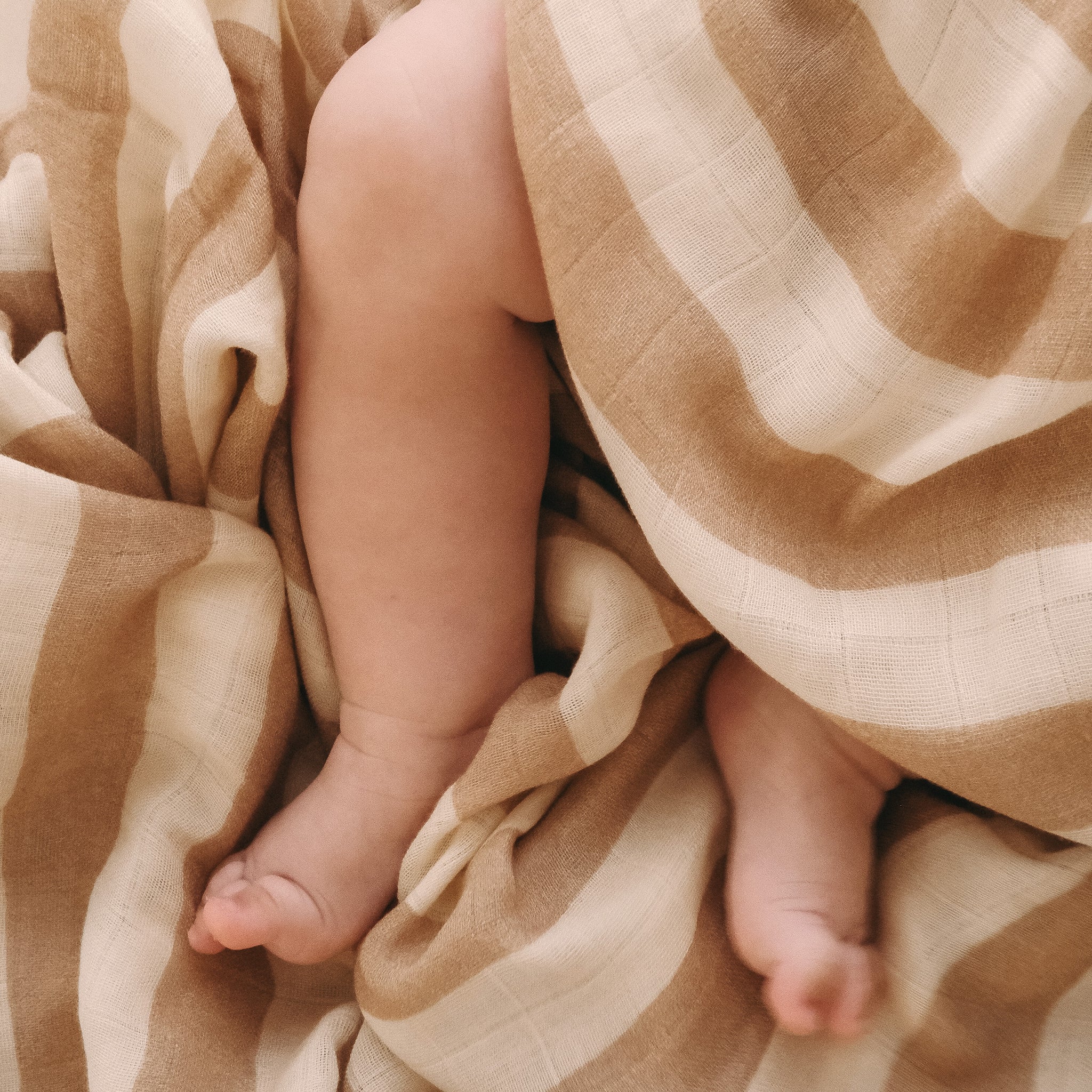 Bassinet | Fitted Sheet/Change Pad Cover | Organic - Coffee Stripe - Image 16