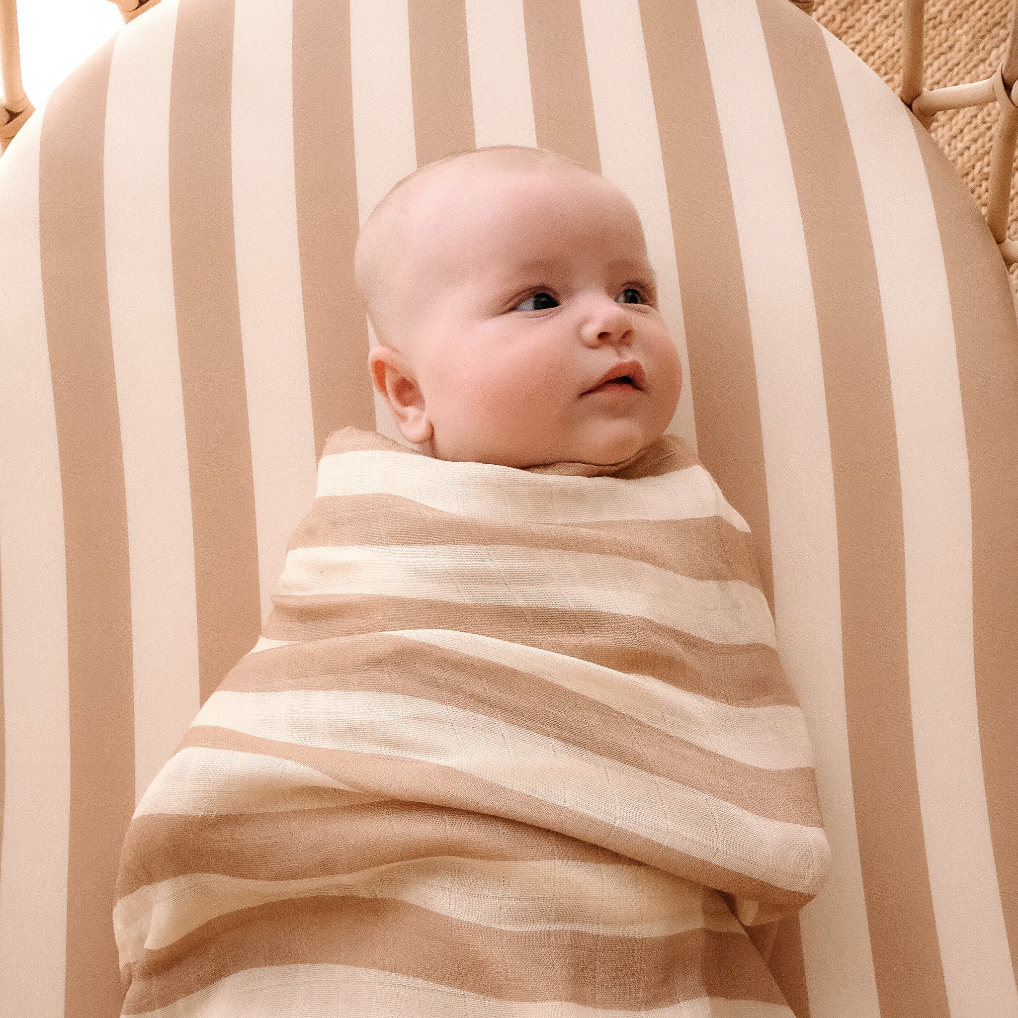 Bassinet | Fitted Sheet/Change Pad Cover | Organic - Coffee Stripe - Image 17