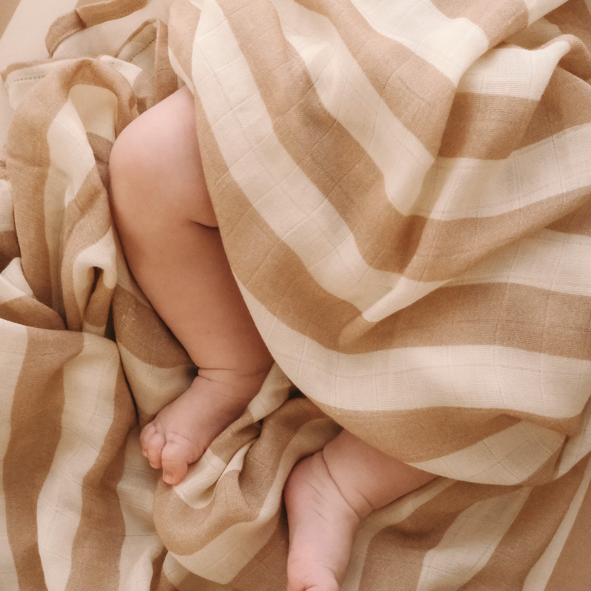 Bassinet | Fitted Sheet/Change Pad Cover | Organic - Coffee Stripe - Image 4