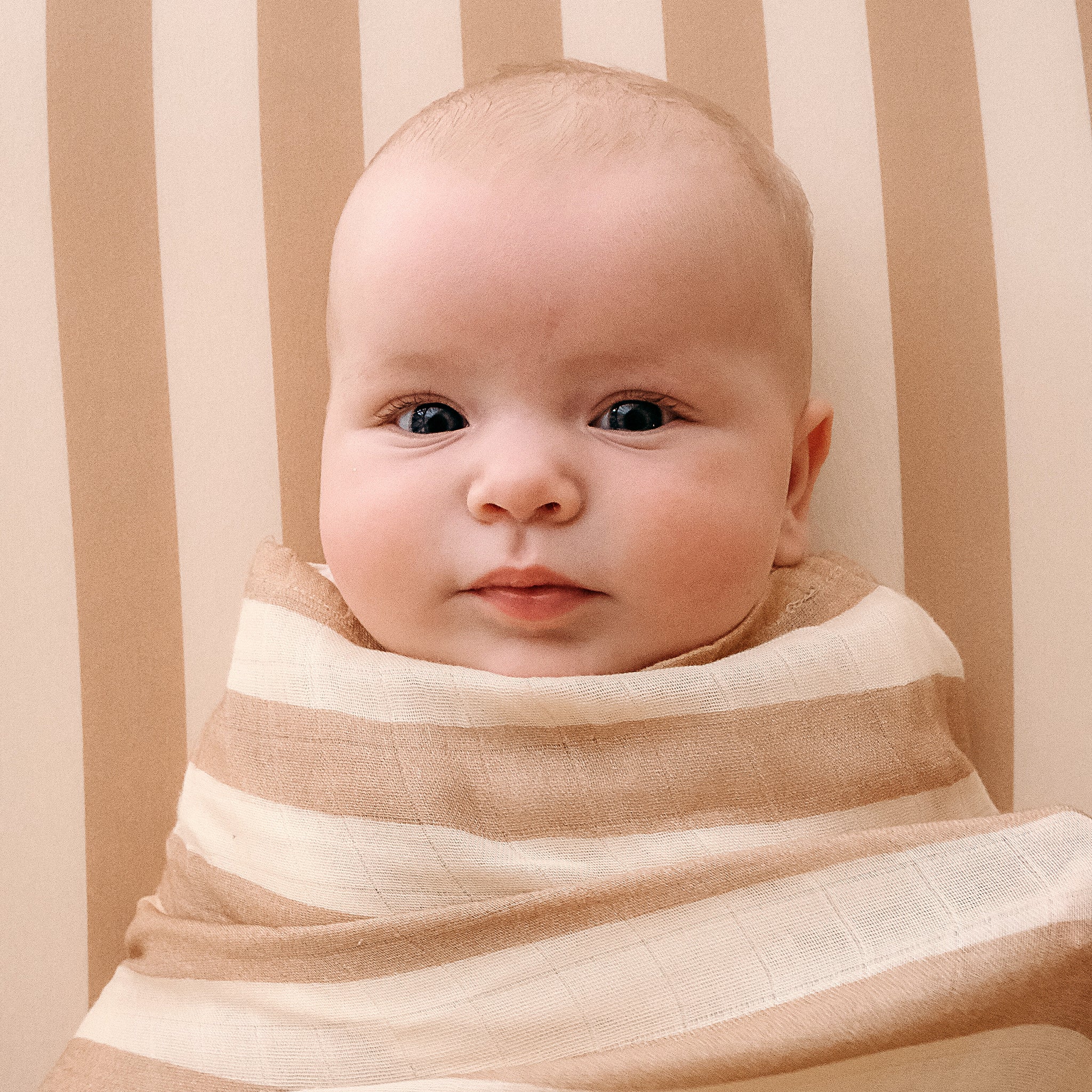 Bassinet | Fitted Sheet/Change Pad Cover | Organic - Coffee Stripe - Image 6