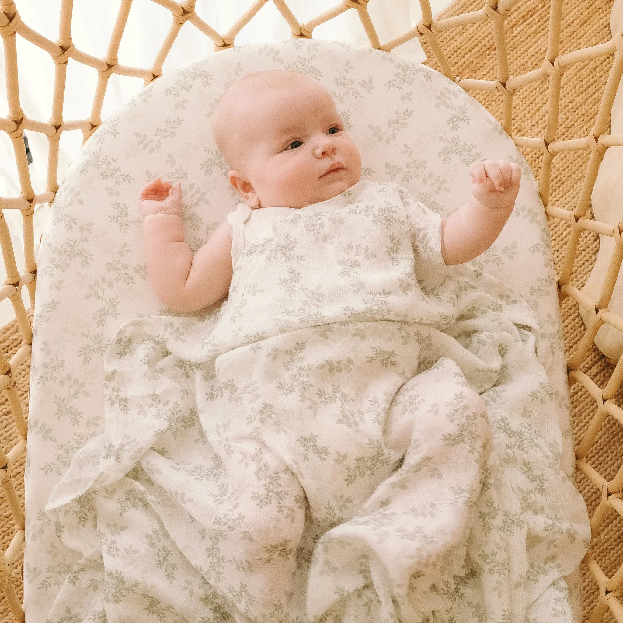 Bassinet | Fitted Sheet/Change Pad Cover | Organic - Cypress - Image 9