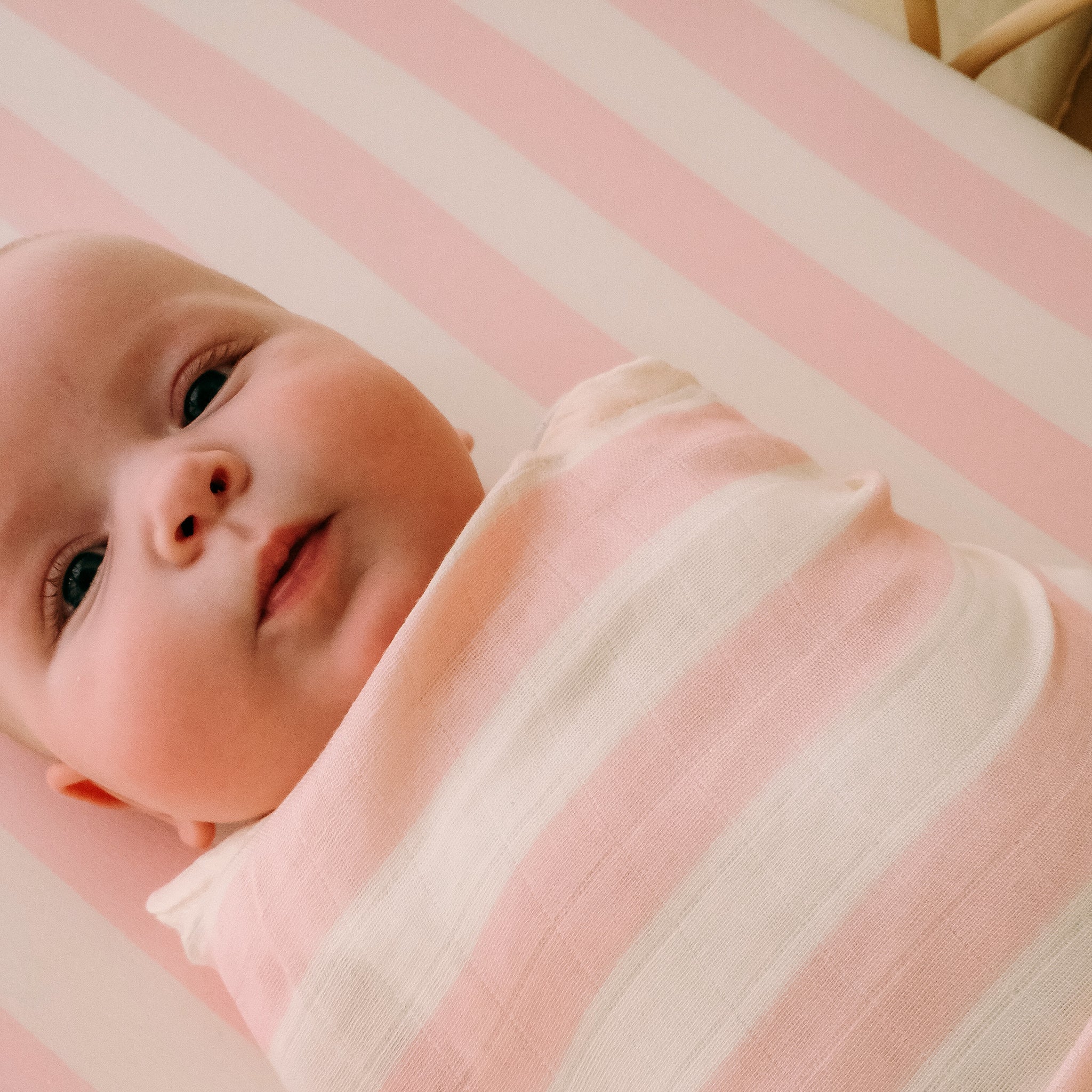 Bassinet | Fitted Sheet/Change Pad Cover | Organic - Petal Stripe - Image 10
