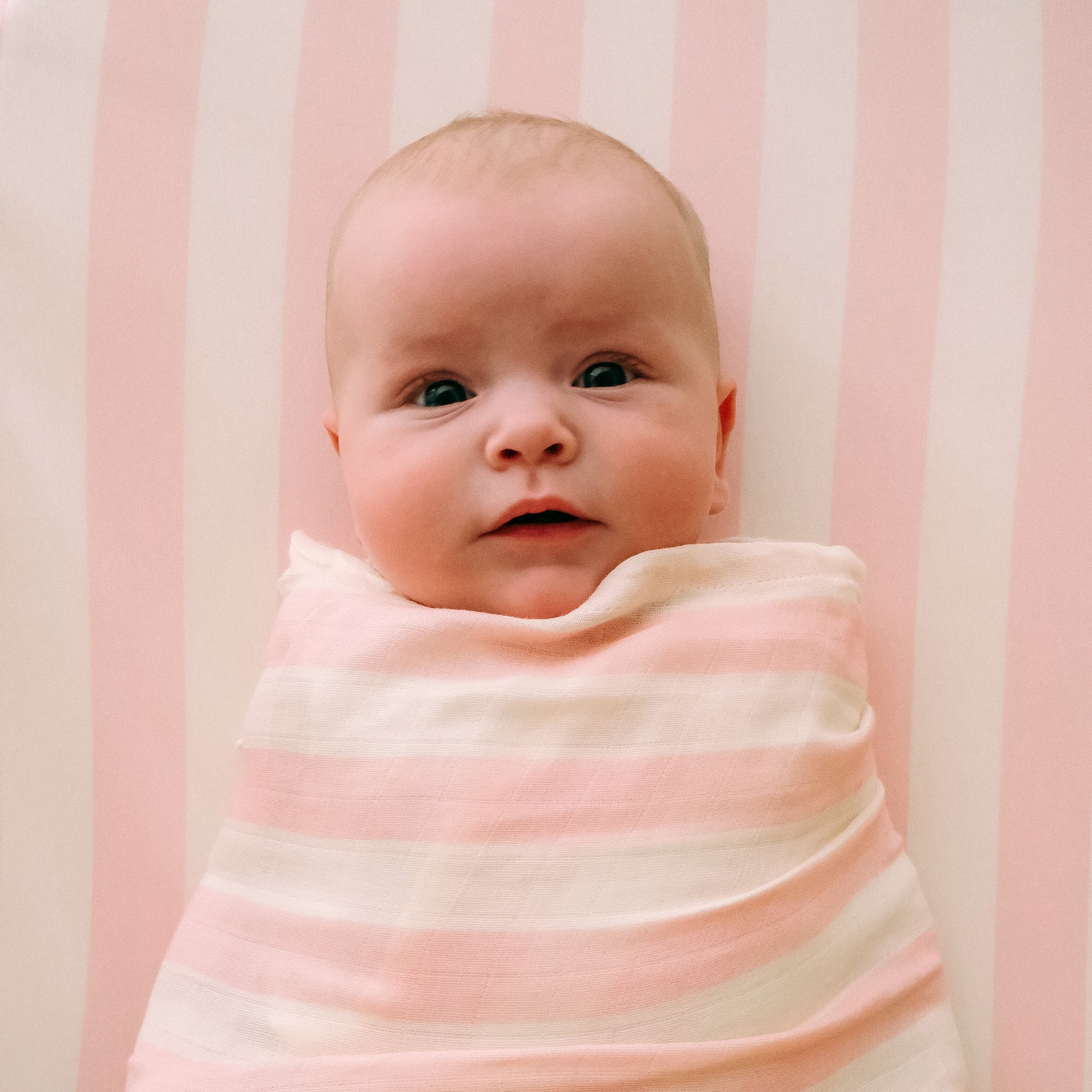 Bassinet | Fitted Sheet/Change Pad Cover | Organic - Petal Stripe - Image 15