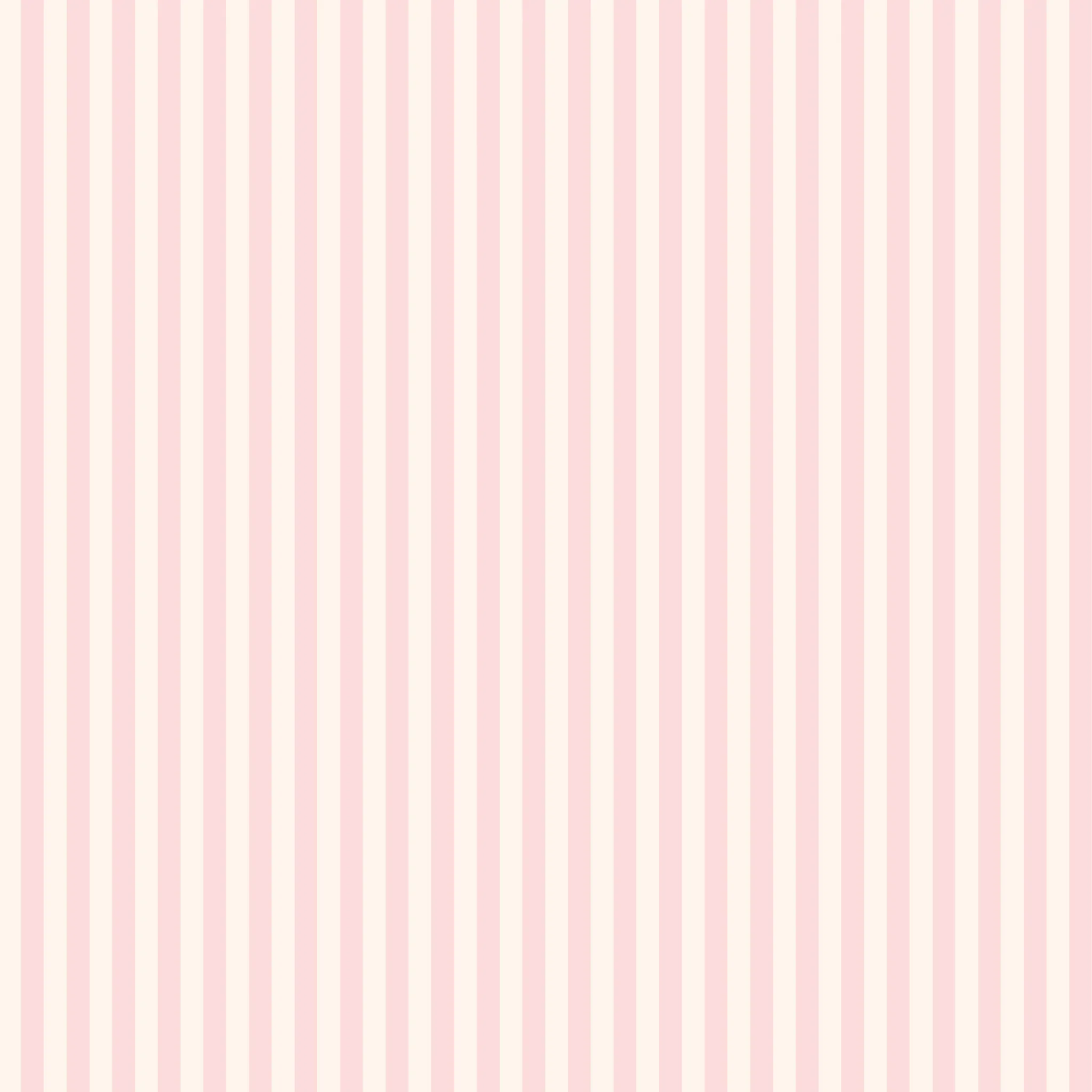 Bassinet | Fitted Sheet/Change Pad Cover | Organic - Petal Stripe - Image 17