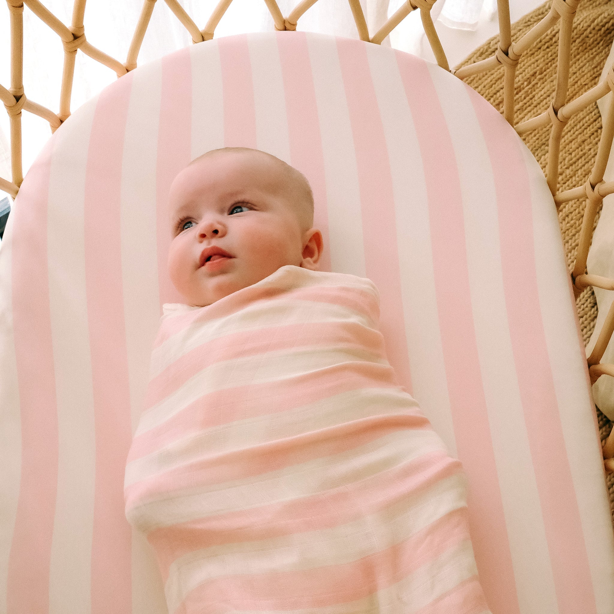 Bassinet | Fitted Sheet/Change Pad Cover | Organic - Petal Stripe - Image 18