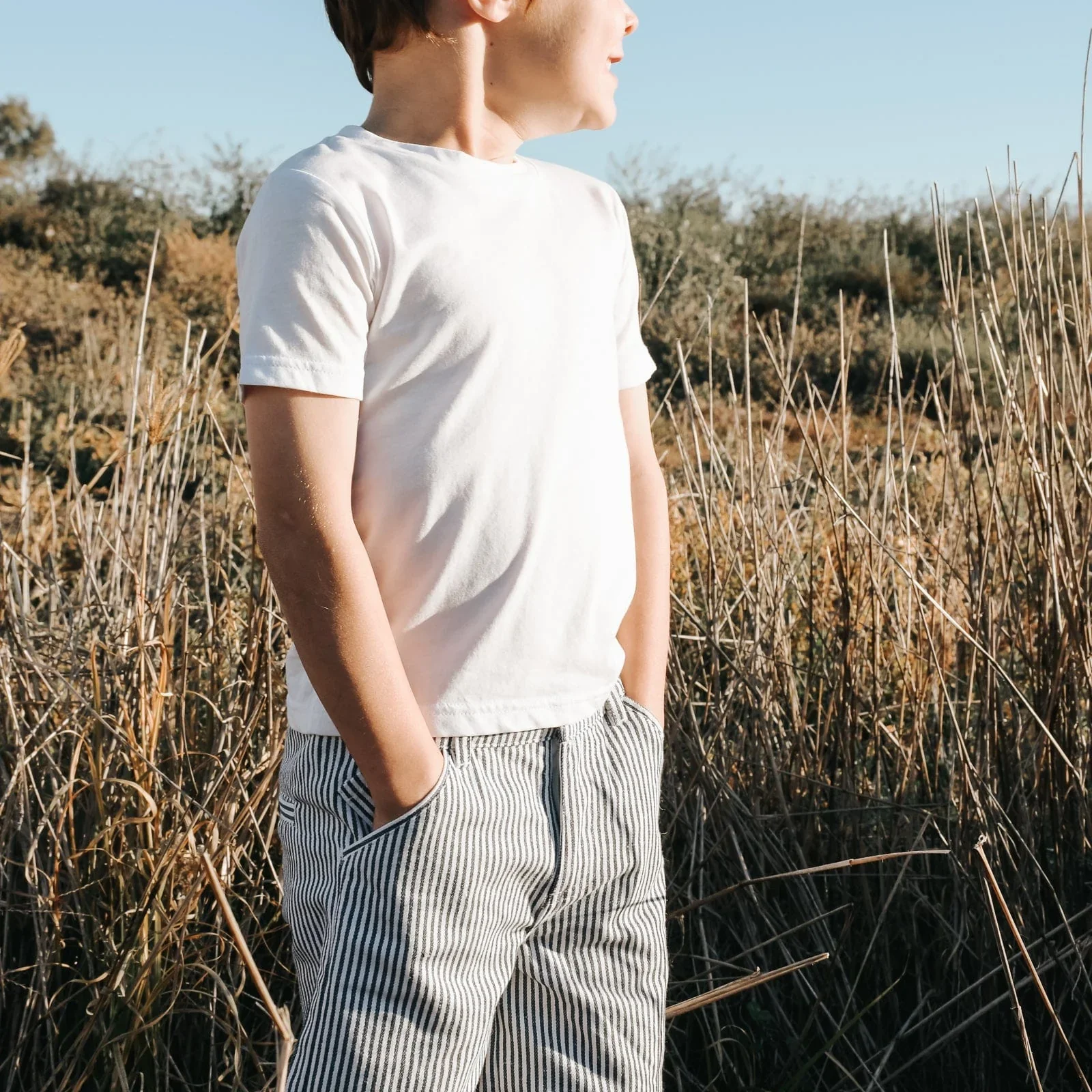 Shorts - Navy Pinstripe - Image 3