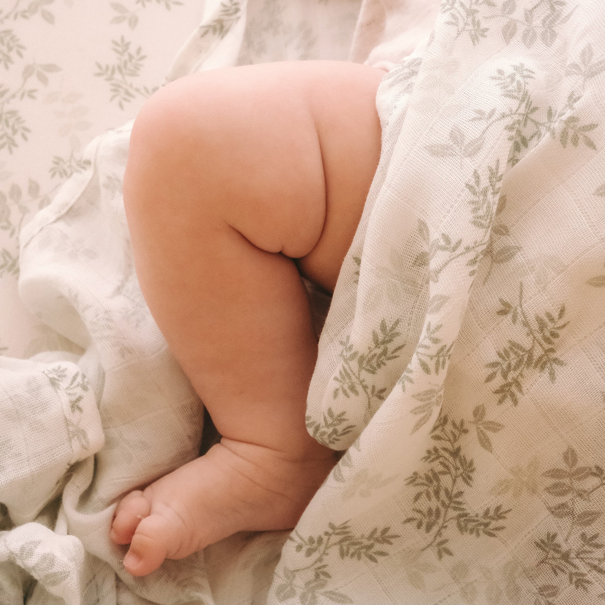Bassinet | Fitted Sheet/Change Pad Cover | Organic - Cypress - Image 3
